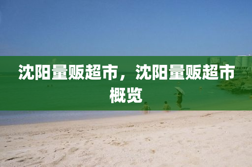 沈陽量販超市，沈陽量販超市概覽