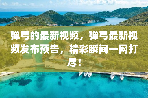 彈弓的最新視頻，彈弓最新視頻發(fā)布預(yù)告，精彩瞬間一網(wǎng)打盡！