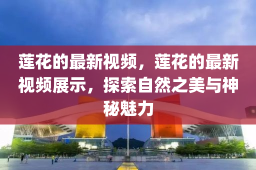 蓮花的最新視頻，蓮花的最新視頻展示，探索自然之美與神秘魅力信陽宸信網(wǎng)絡(luò)科技有限公司
