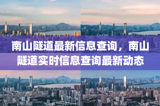 南山隧道最新信息查詢，南山隧道實(shí)時(shí)信息查詢最新動態(tài)信陽宸信網(wǎng)絡(luò)科技有限公司
