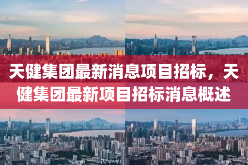 天健集團(tuán)最新消息項(xiàng)目招標(biāo)，天健集團(tuán)最新項(xiàng)目招標(biāo)消息概述信陽宸信網(wǎng)絡(luò)科技有限公司