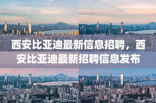 西安比亞迪最新信息招聘，西安比亞迪最新招聘信息發(fā)布信陽(yáng)宸信網(wǎng)絡(luò)科技有限公司