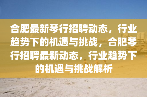 合肥最新琴行招聘動(dòng)態(tài)，行業(yè)趨勢(shì)下的機(jī)遇與挑戰(zhàn)，合肥琴行招聘最新動(dòng)態(tài)，行業(yè)趨勢(shì)下的機(jī)遇與挑戰(zhàn)解析信陽(yáng)宸信網(wǎng)絡(luò)科技有限公司