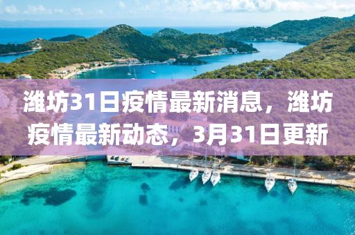 濰坊31日疫情最新消息，濰坊疫情最新動(dòng)態(tài)，3月31日更新信陽(yáng)宸信網(wǎng)絡(luò)科技有限公司