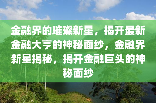 金融界的璀璨新星，揭開最新金融大亨信陽(yáng)宸信網(wǎng)絡(luò)科技有限公司的神秘面紗，金融界新星揭秘，揭開金融巨頭的神秘面紗