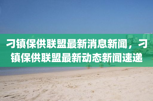 信陽(yáng)宸信網(wǎng)絡(luò)科技有限公司刁鎮(zhèn)保供聯(lián)盟最新消息新聞，刁鎮(zhèn)保供聯(lián)盟最新動(dòng)態(tài)新聞速遞