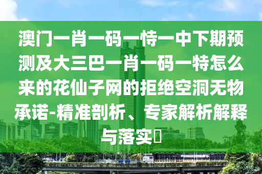 澳門一肖一碼一恃一中下期預(yù)測及大三巴一肖一碼一特怎么來的花仙子網(wǎng)的拒絕空洞無物承諾-精準(zhǔn)剖析、專家解析解釋與落實?信陽宸信網(wǎng)絡(luò)科技有限公司