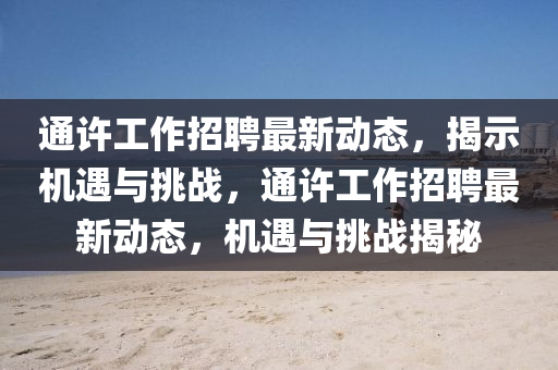 通許工作招聘最新動(dòng)態(tài)，揭示機(jī)遇與挑戰(zhàn)，通許工作招聘最新動(dòng)態(tài)，機(jī)遇與挑戰(zhàn)揭秘信陽宸信網(wǎng)絡(luò)科技有限公司
