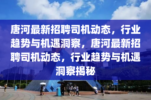 唐河最新招聘司機動態(tài)，行業(yè)趨勢與機遇洞察，唐河最新招聘司機動態(tài)，行業(yè)趨勢與機遇洞察揭秘信陽宸信網(wǎng)絡(luò)科技有限公司