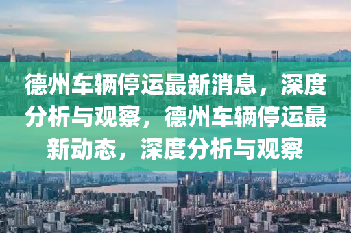 德州車輛停運最新消息，深度分析與觀察，德州車輛停運最新動態(tài)，深度分析與觀察信陽宸信網絡科技有限公司
