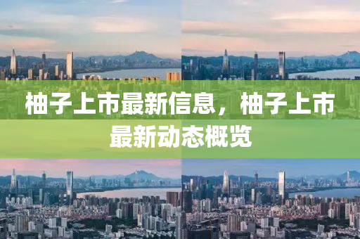 柚子上市最新信息，柚子上市最新動態(tài)概覽信陽宸信網(wǎng)絡(luò)科技有限公司