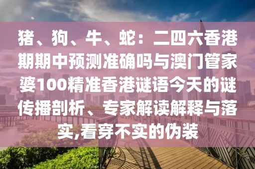 豬、狗、牛、蛇：二四信陽宸信網(wǎng)絡(luò)科技有限公司六香港期期中預(yù)測準(zhǔn)確嗎與澳門管家婆100精準(zhǔn)香港謎語今天的謎傳播剖析、專家解讀解釋與落實,看穿不實的偽裝