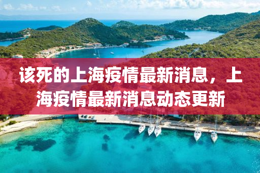 該死的上海疫情最新消息，上海疫情最新消息動(dòng)態(tài)更新信陽(yáng)宸信網(wǎng)絡(luò)科技有限公司