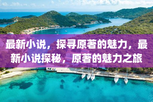最新小說，探尋原著的魅力，最新小說探秘，原著的魅力之旅信陽宸信網(wǎng)絡(luò)科技有限公司