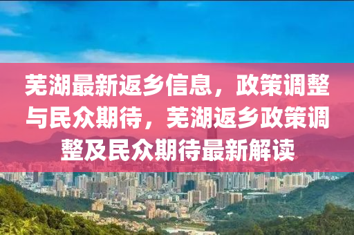 蕪湖最新返鄉(xiāng)信息，政策調(diào)整與民眾期待，蕪湖返鄉(xiāng)政策調(diào)整及民眾期待最新解讀信陽宸信網(wǎng)絡(luò)科技有限公司