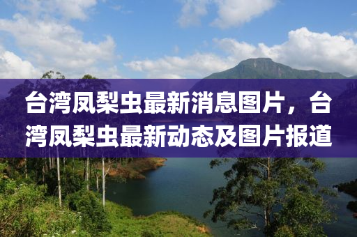 臺灣鳳梨蟲最新消息圖片，臺灣鳳梨蟲最新動態(tài)信陽宸信網絡科技有限公司及圖片報道