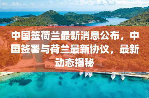中國(guó)簽荷蘭最新消息公布，中國(guó)簽署與荷蘭最新協(xié)議，最新動(dòng)態(tài)揭秘信陽(yáng)宸信網(wǎng)絡(luò)科技有限公司