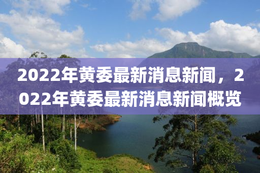 2022年黃委最新消息新聞，2022年黃委最新消息新信陽宸信網(wǎng)絡(luò)科技有限公司聞概覽