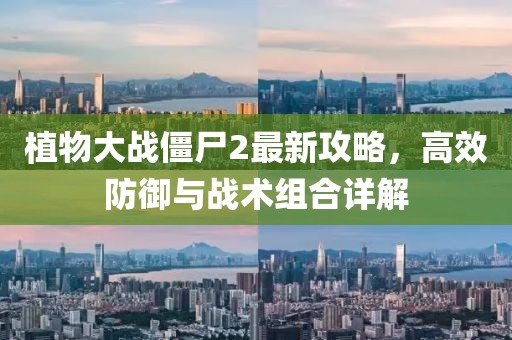 最新快餐招聘信息，最新快餐招聘啟事信陽宸信網(wǎng)絡科技有限公司