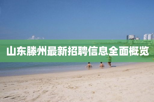 2025全年正版資枓免費資料公開免費...跟77777888888免費管家官方下載精準：30-05-13-28-24-49 T:14信陽宸信網(wǎng)絡科技有限公司:文化釋義、專家解讀解釋與落實,遠離誤導的言辭