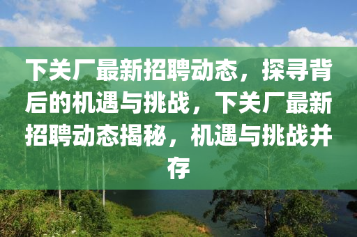 下關(guān)廠最新招信陽(yáng)宸信網(wǎng)絡(luò)科技有限公司聘動(dòng)態(tài)，探尋背后的機(jī)遇與挑戰(zhàn)，下關(guān)廠最新招聘動(dòng)態(tài)揭秘，機(jī)遇與挑戰(zhàn)并存