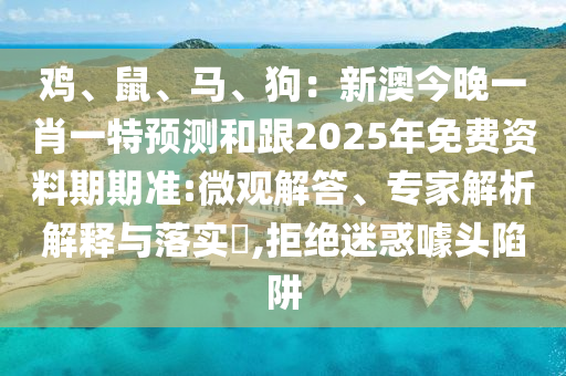 雞、鼠、馬、狗：新信陽宸信網(wǎng)絡(luò)科技有限公司澳今晚一肖一特預(yù)測和跟2025年免費資料期期準:微觀解答、專家解析解釋與落實?,拒絕迷惑噱頭陷阱