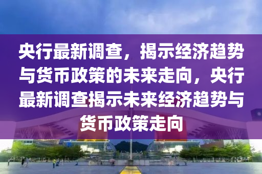 央行最新調查，揭示經濟趨勢與貨幣政策的未來走向，央行最新調查揭示未來經濟趨勢與貨幣政策走向信陽宸信網絡科技有限公司