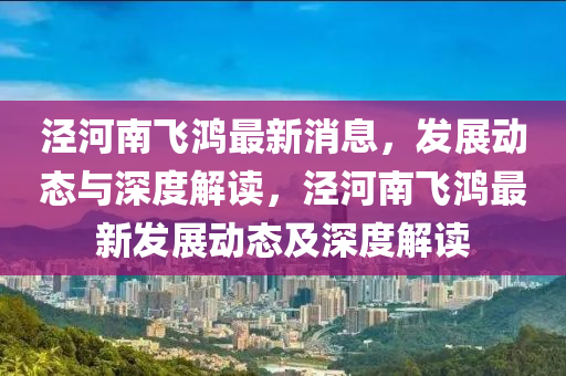 涇河南飛鴻最新消息，發(fā)展信陽(yáng)宸信網(wǎng)絡(luò)科技有限公司動(dòng)態(tài)與深度解讀，涇河南飛鴻最新發(fā)展動(dòng)態(tài)及深度解讀