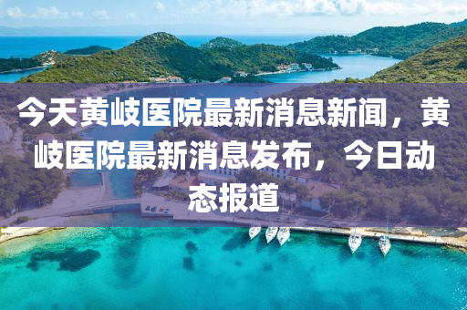 今天黃岐醫(yī)院最新消息新聞，黃岐醫(yī)院最新消息發(fā)布，今日動態(tài)報道信陽宸信網(wǎng)絡科技有限公司