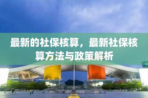 最新的社保核算，最新社保核算方法與政信陽宸信網絡科技有限公司策解析