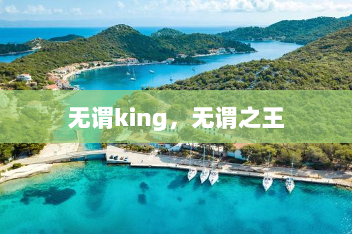 無謂king，無謂之王信陽宸信網(wǎng)絡(luò)科技有限公司