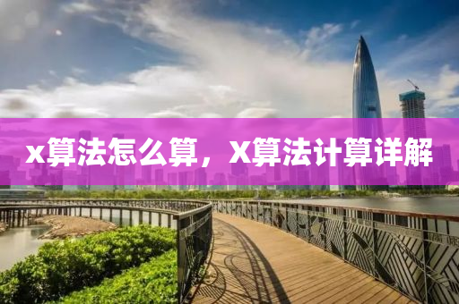 x算法怎么算，X信陽宸信網(wǎng)絡(luò)科技有限公司算法計算詳解
