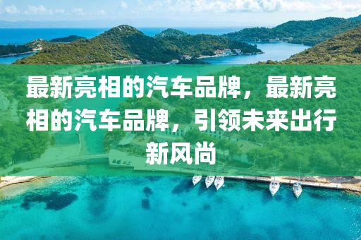 最新亮相的汽車品牌，最新亮相的汽車品牌，引領未信陽宸信網(wǎng)絡科技有限公司來出行新風尚