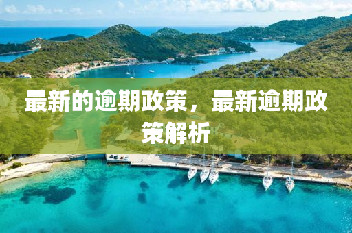 最新的逾期政策，最新逾期政策解析信陽宸信網(wǎng)絡(luò)科技有限公司