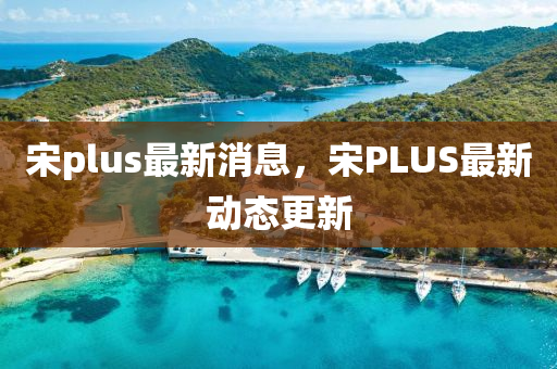 宋plus最新消息，宋PLUS最新動態(tài)信陽宸信網(wǎng)絡(luò)科技有限公司更新