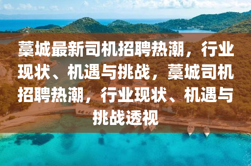 藁城最新信陽宸信網(wǎng)絡(luò)科技有限公司司機(jī)招聘熱潮，行業(yè)現(xiàn)狀、機(jī)遇與挑戰(zhàn)，藁城司機(jī)招聘熱潮，行業(yè)現(xiàn)狀、機(jī)遇與挑戰(zhàn)透視